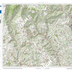 81 21 (Valdagno) Anno: 2022