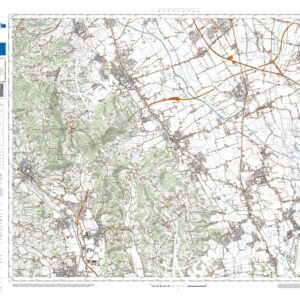 81 22 (Malo) Anno: 2022