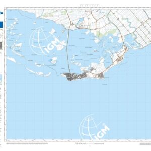 81 31 (Grado Pineta) Anno: 2022
