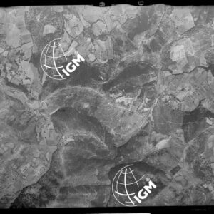 106-1947-3-81C