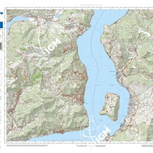 82 16 (Marone) Anno: 2022