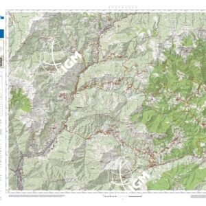 82 17 (Gardone Val Trompia) Anno: 2022