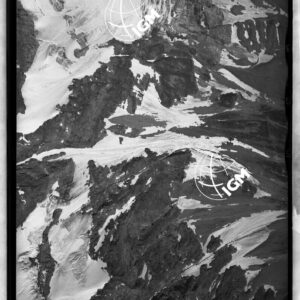 29-1951-5-82S