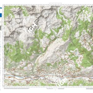 83 05 (Nus) Anno: 2022