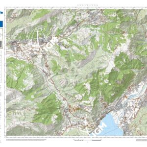 83 16 (Costa Volpino) Anno: 2022