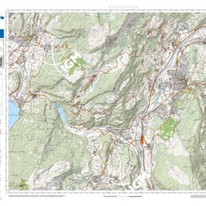 83 20 (Rovereto) Anno: 2022