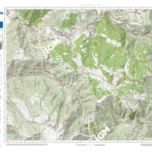 83 21 (Folgaria) Anno: 2022