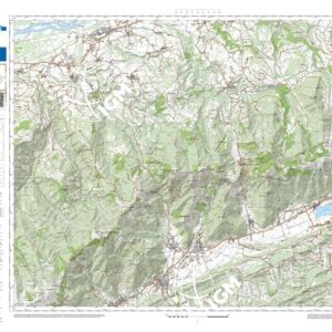 84 25 (Follina) Anno: 2022