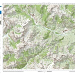 87 27 (Forni di Sopra) Anno: 2022