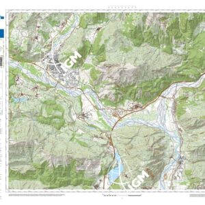 87 29 (Tolmezzo) Anno: 2022