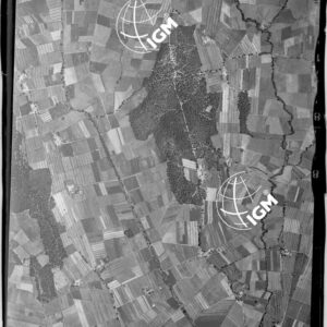 106-1947-II-881S