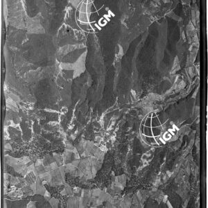106-1947-II-889C