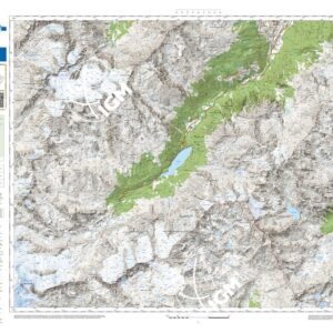 88 19 (Martello) Anno: 2022