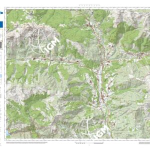 88 28 (Rigolato) Anno: 2022