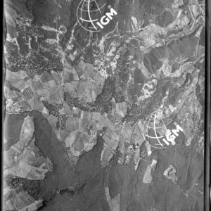 106-1947-II-890C