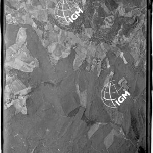 106-1947-II-891C