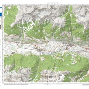 89 19 (Lasa) Anno: 2022