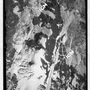 29-1951-5-89C