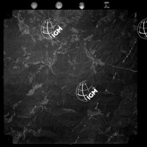 81-1973-7-9501