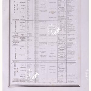 CARTA GEOGRAFICA DELL' ITALIA SECONDO LA SUA ATTUALE DIVISIONE POLITICA - Quadro statistico - TAVOLA XIX