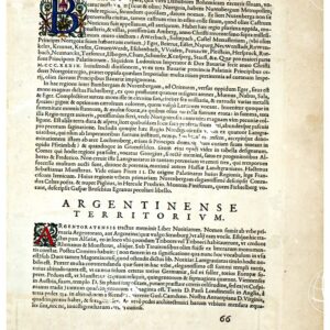 THEATRUM ORBIS TERRARUM (ATLANTE DELL' ORTELIO) A COLORI - NORTGOIA VEL BAVARIÆ PALATINATUS, ARGENTIENSE TERRITORIUM  TESTO