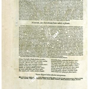 THEATRUM ORBIS TERRARUM (ATLANTE DELL' ORTELIO) A COLORI - ISLANDIA TESTO RETRO