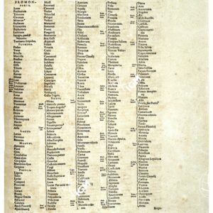 THEATRUM ORBIS TERRARUM (ATLANTE DELL' ORTELIO) A COLORI - ILLYRIS, ITALIA INDICE