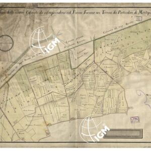 PIANTA REGOLARE DELLE NUOVE COLMATE DA INTRAPRENDERSI COL FIUME FOENNA NEI TERRENI DEI PARTICOLARI DI MONTEPULCIANO