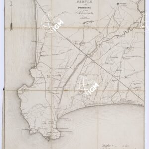 PADULE DI PIOMBINO E SUE ADIACENZE NEL 1846