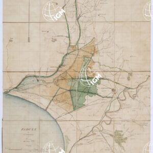 PIANTA DEL PADULE DI CASTIGLIONI ED ADIACENZE I. E R. LABORATORIO - Castiglione della Pescaia