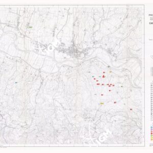 CARTA ARCHEOLOGICA DELLA PROVINCIA DI FIRENZE INTRODUZIONE E CONTRIBUTI, SCHEDE DI SEGNALAZIONE, INDICI DI RITROVAMENTI, BIBLIOGRAFIA; ALTO E BASSO MUGELLO E AREA FIORENTINA A NORD DELL'ARNO - Vicchio