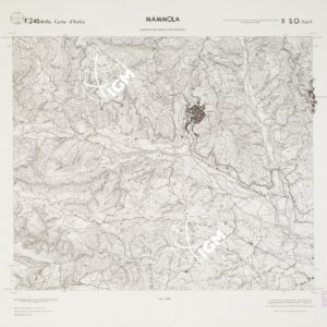CARTA TOPOGRAFICA DELLA CALABRIA - Foglio 246 II S.O. SEZ.C - Mammola