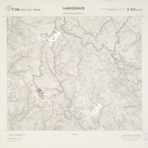 CARTA TOPOGRAFICA DELLA CALABRIA - Foglio 246 II N.E. SEZ.D - Nardodipace