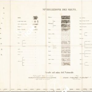 CARTA TOPOGRAFICA DEL DUCATO DI MODENA... - Foglio VI E - Spiegazione dei segni