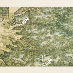 UNA CARTA DEL FERRARESE DEL 1814 - Tavola 4 C