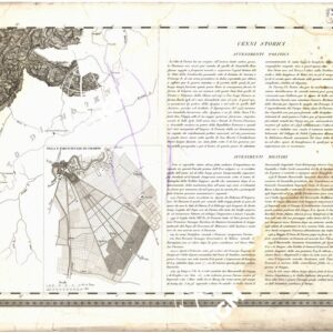 CARTA TOPOGRAFICA DEI DUCATI DI PARMA, PIACENZA E GUASTALLA... - Foglio IX