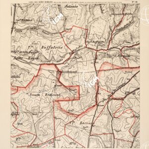 CARTA DELL'AGRO ROMANO... - Foglio 16