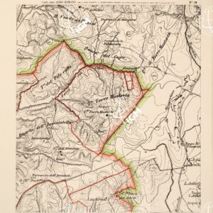 CARTA DELL'AGRO ROMANO... - Foglio 19