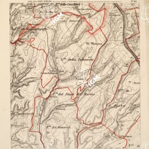 CARTA DELL'AGRO ROMANO... - Foglio 24