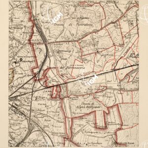 CARTA DELL'AGRO ROMANO... - Foglio 38