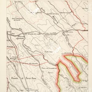 CARTA DELL'AGRO ROMANO... - Foglio 51