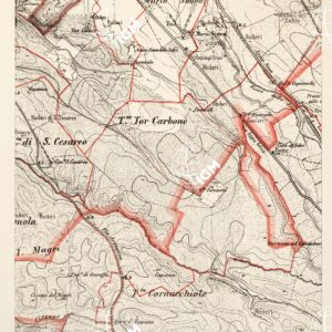 CARTA DELL'AGRO ROMANO... - Foglio 60