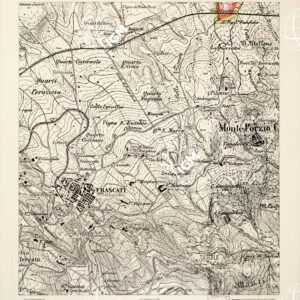 CARTA DELL'AGRO ROMANO... - Foglio 63