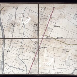 CARTA DEI DINTORNI DI BORGOFORTE - Foglio 2 - Romanore