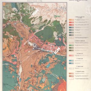 CARTA FITOSOCIOLOGICA DELLA VEGETAZIONE DEI DINTORNI DI BORMIO (ALTA VALTELLINA)