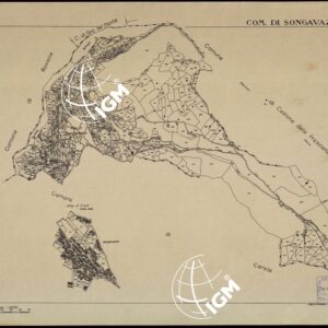 MAPPE CATASTALI D'ITALIA - PROVINCIA DI BERGAMO - Foglio B - COMUNE DI SONGAVAZZO