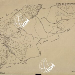 MAPPE CATASTALI D'ITALIA - PROVINCIA DI BERGAMO - Foglio C - COMUNE DI SONGAVAZZO