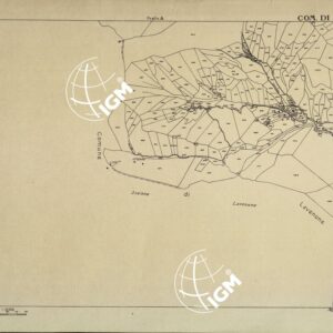MAPPE CATASTALI D'ITALIA - PROVINCIA DI BRESCIA - Foglio C - COMUNE DI ANFO