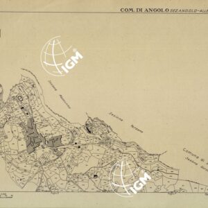 MAPPE CATASTALI D'ITALIA - PROVINCIA DI BRESCIA - Foglio D - COMUNE DI ANGOLO Sezione di ANGOLO