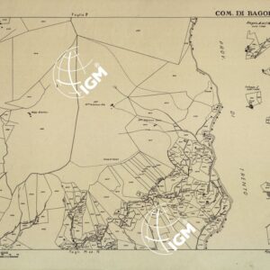 MAPPE CATASTALI D'ITALIA - PROVINCIA DI BRESCIA - Foglio I - COMUNE DI BAGOLINO